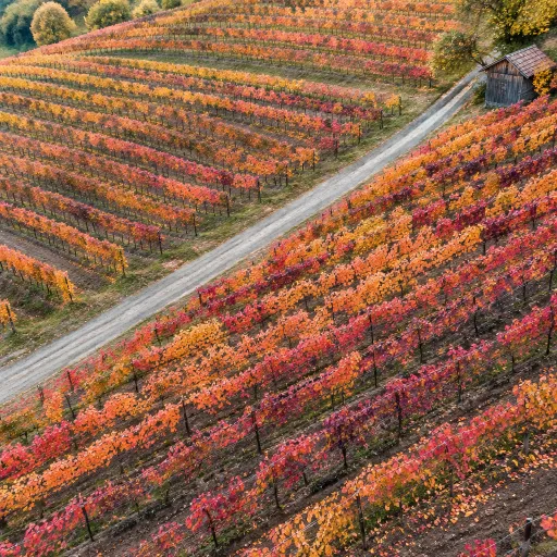 Building autumn demand on purpose: the programming and pricing moves that make a shoulder season real