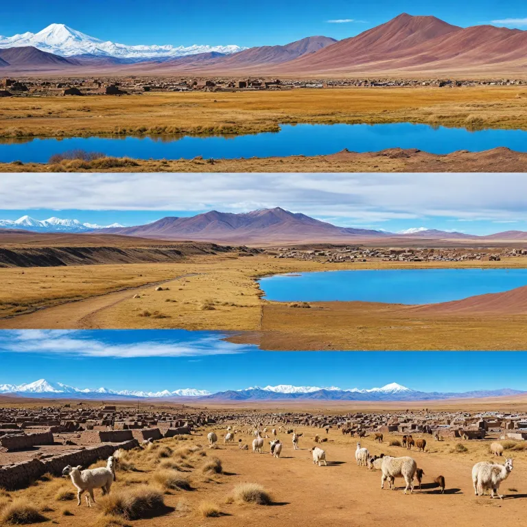 Strategic insights and interesting facts about Bolivia for tourism offices and regions